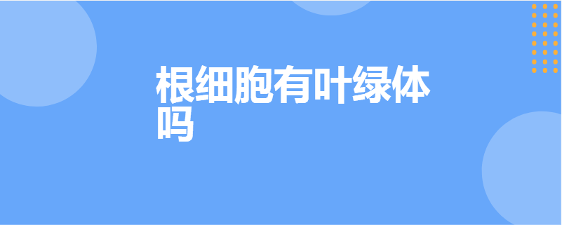 根细胞有叶绿体吗