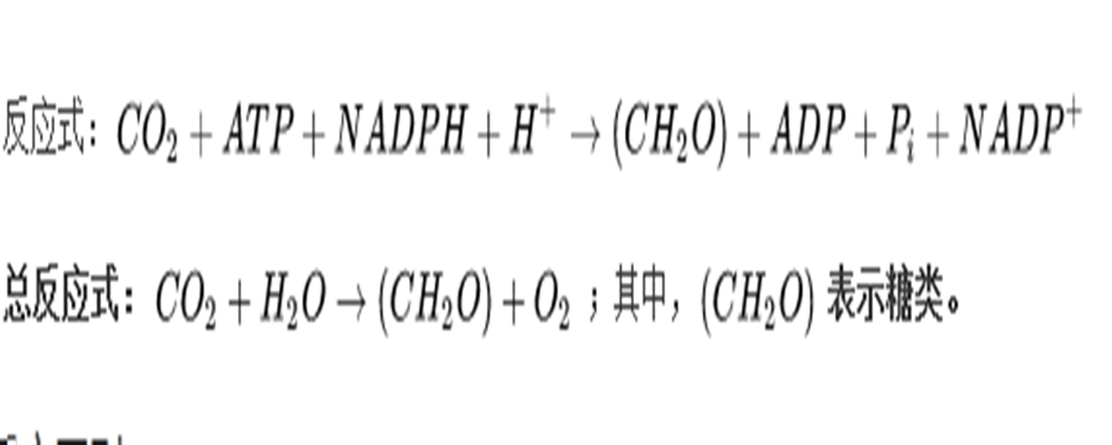 光合作用三个阶段方程式