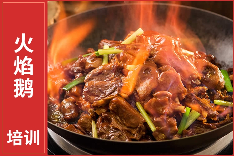火焰鹅培训