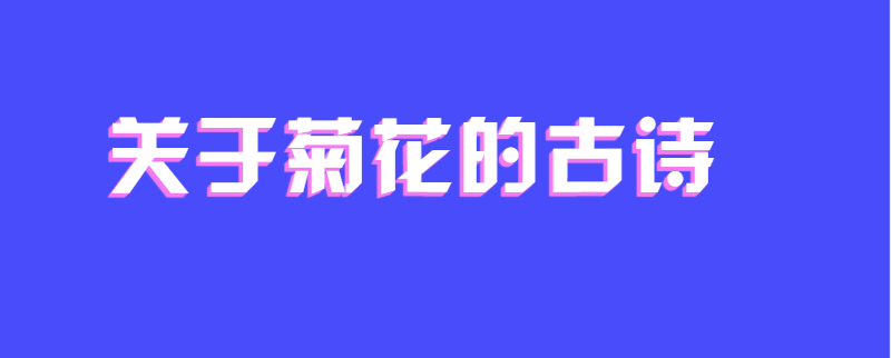 关于菊花的古诗