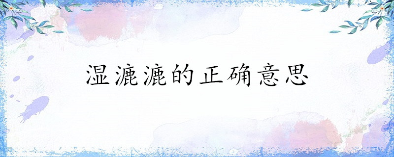 湿漉漉的正确意思