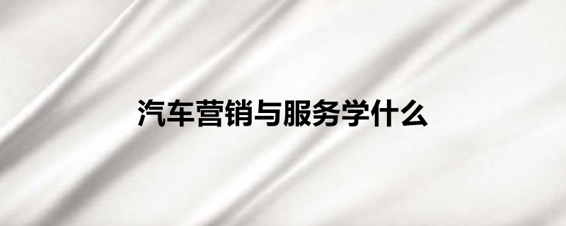 汽车营销与服务学什么