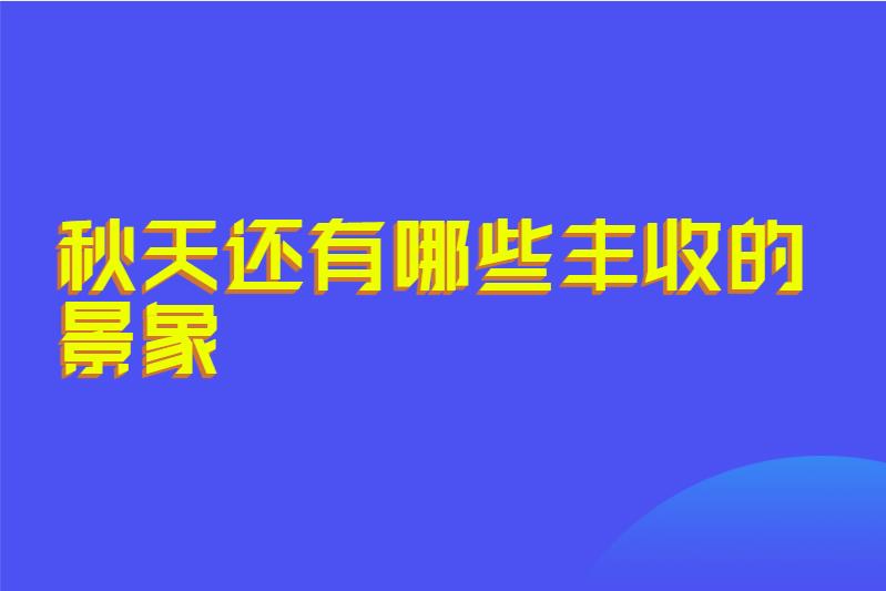 秋天还有哪些丰收的景象