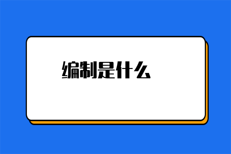 编制是什么