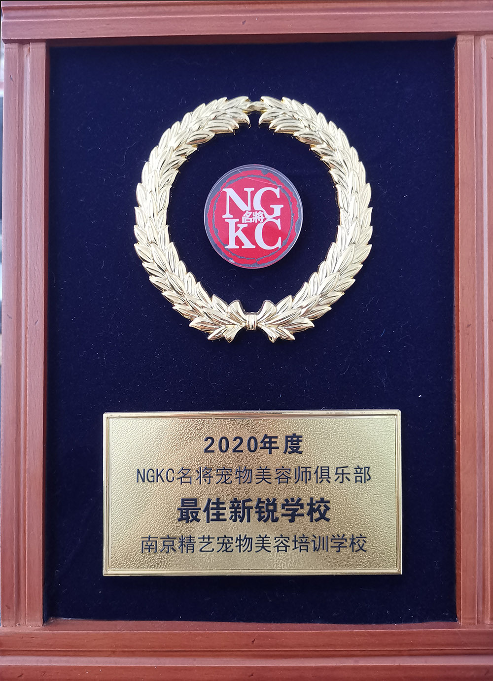 ngkc宠物美容师俱乐部-优秀新锐学校