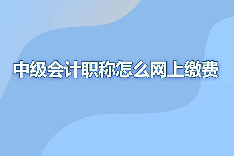 中级会计职称怎么网上缴费