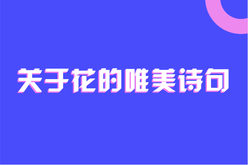 关于花的唯美诗句