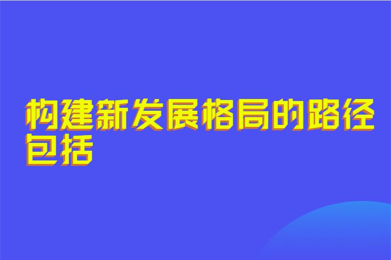 构建新发展格局的路径包括