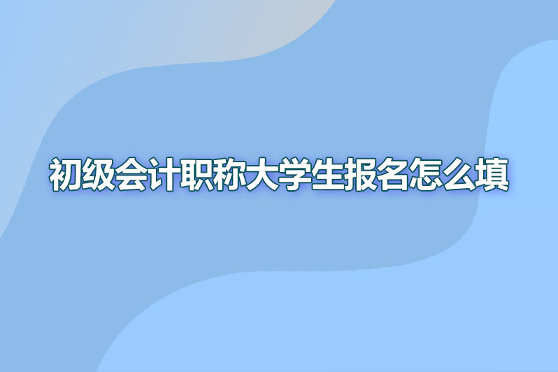 初级会计职称大学生报名怎么填