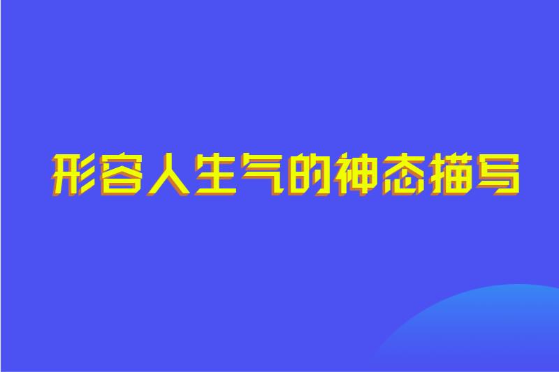 形容人生气的神态描写
