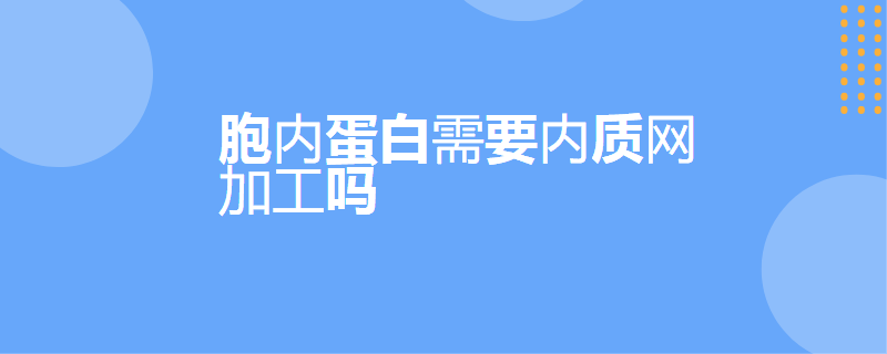 胞内蛋白需要内质网加工吗