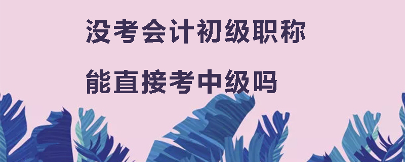 没考会计初级职称能直接考中级吗