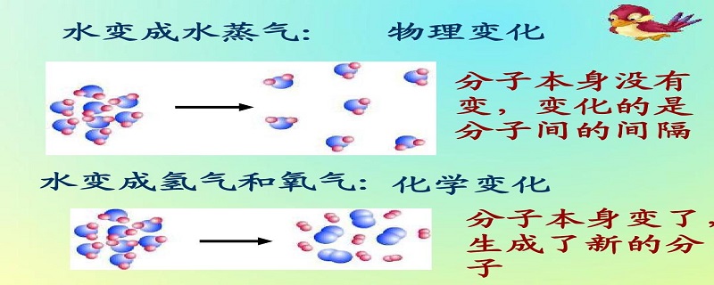 水变成水蒸气是物理变化还是化学变化
