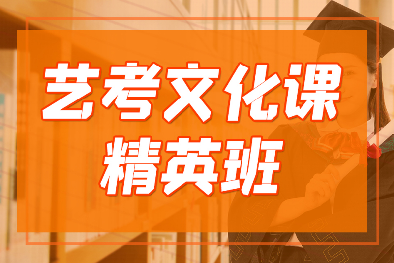 艺考文化课精英班
