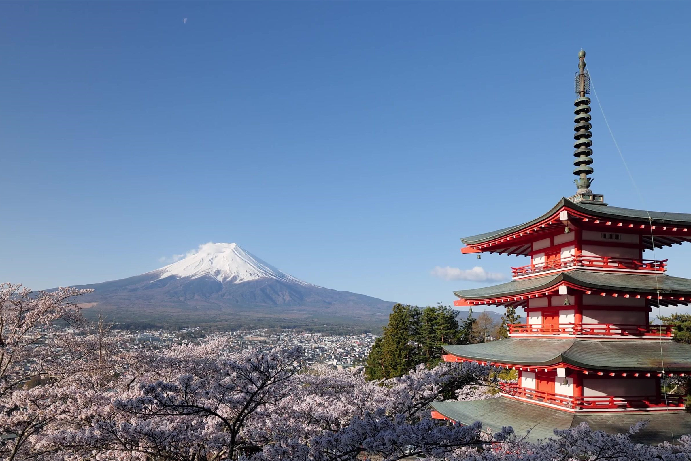 如何提升日语考试阅读能力