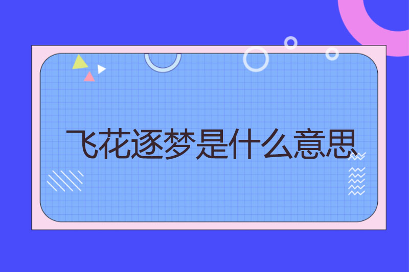 飞花逐梦是什么意思