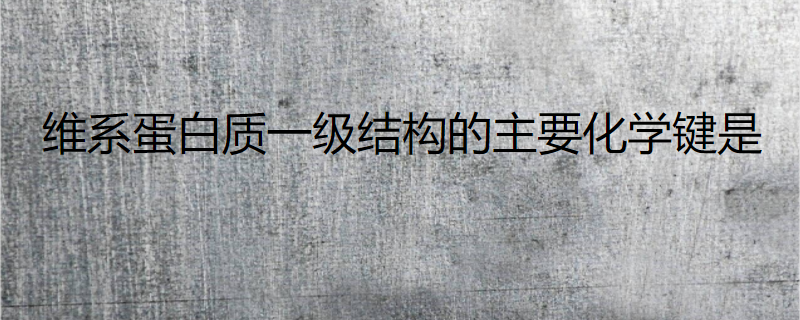 维系蛋白质一级结构的主要化学键是