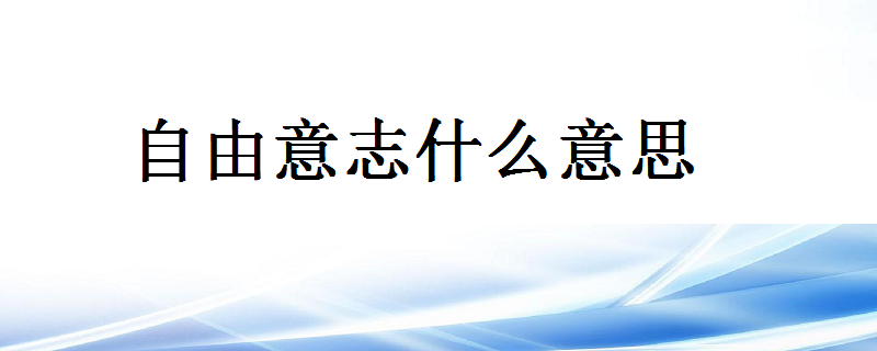 自由意志什么意思