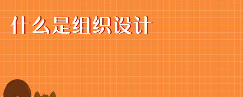 什么是组织设计
