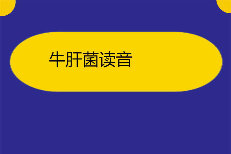牛肝菌读音