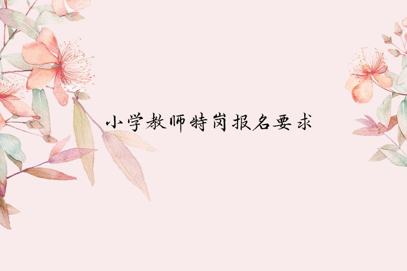 小学教师特岗报名要求
