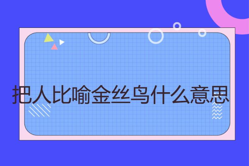 把人比喻金丝鸟什么意思