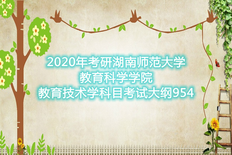 2020年考研湖南師範大學教育科學學院教育技術學科目考試大綱954