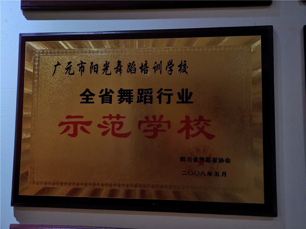 四川省舞蹈家协会-全省舞蹈行业示范学校