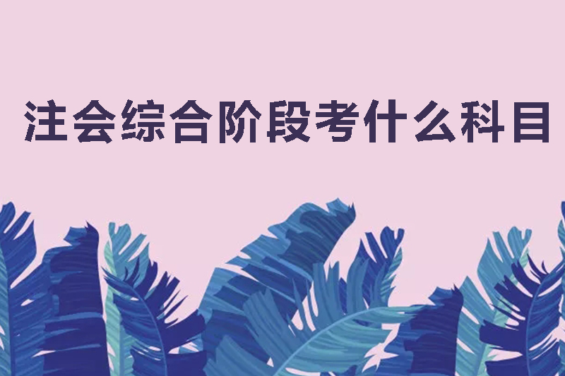 注会综合阶段考什么科目