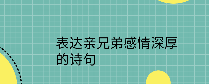 表达亲兄弟感情深厚的诗句