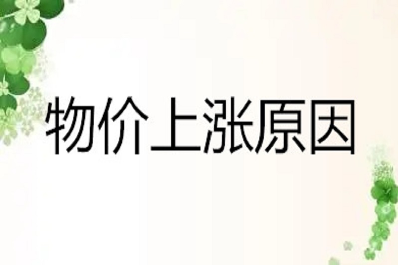 2021年初级审计师《专业知识》:物价上涨原因