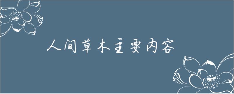 人间草木主要内容