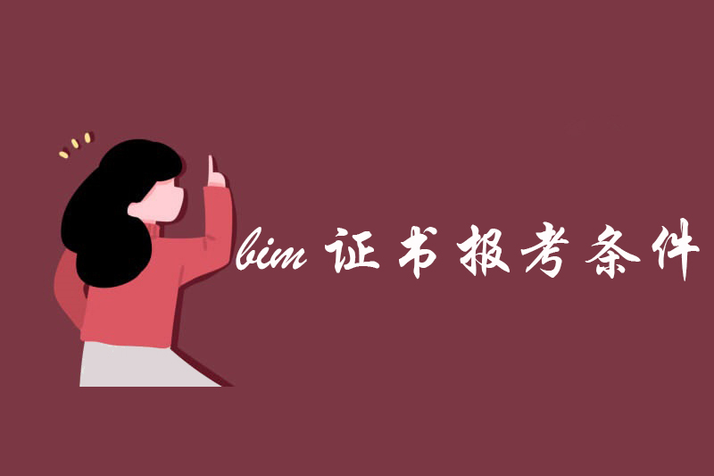 bim证书报考条件