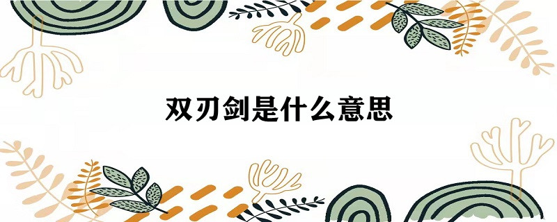 双刃剑是什么意思图片