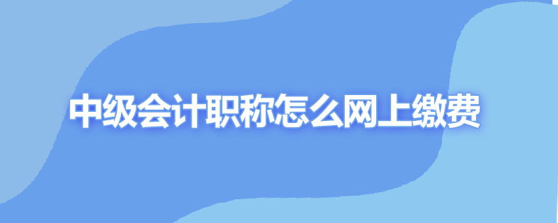 中级会计职称怎么网上缴费