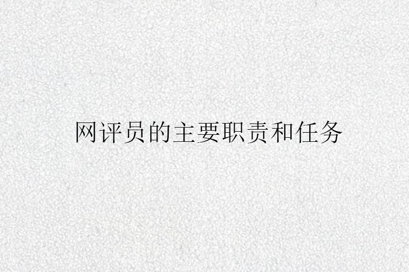 网评员的主要职责和任务