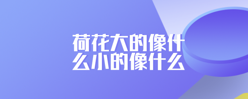 荷花大的像什么小的像什么