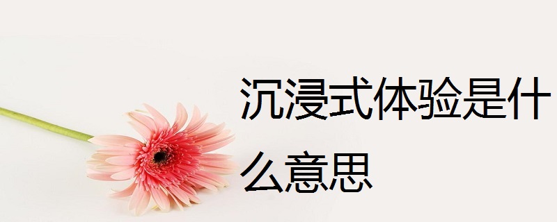 沉浸式体验是什么意思