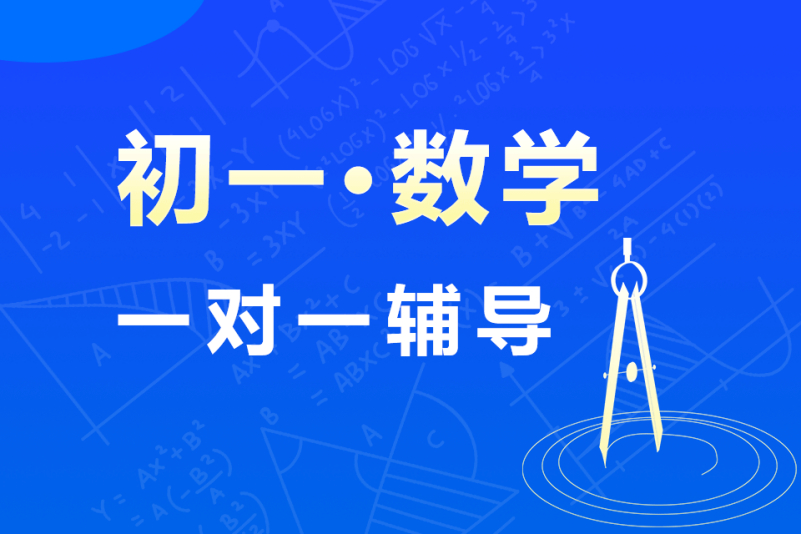 初一数学一对一辅导