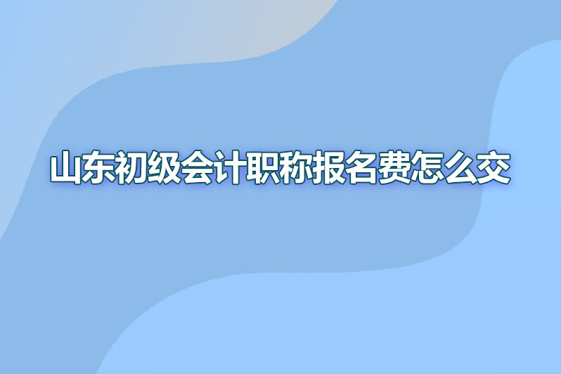 山东初级会计职称报名费怎么交