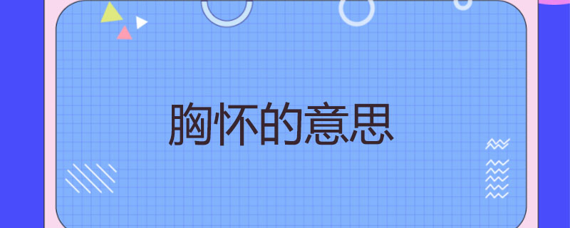 胸怀的意思