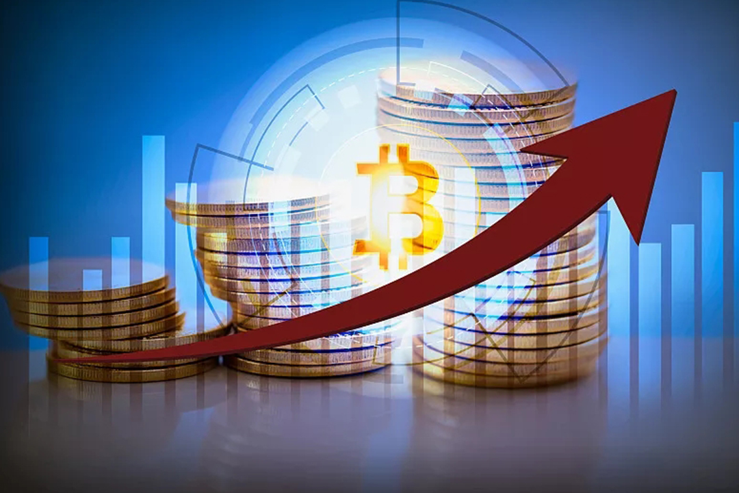 新手会计怎么学报税