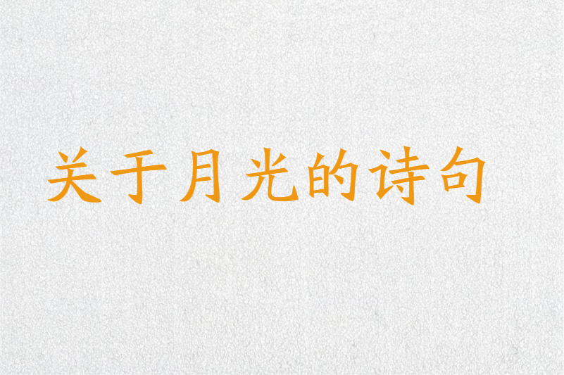 关于月光的诗句