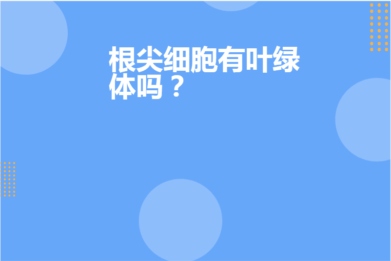 根尖细胞有叶绿体吗?