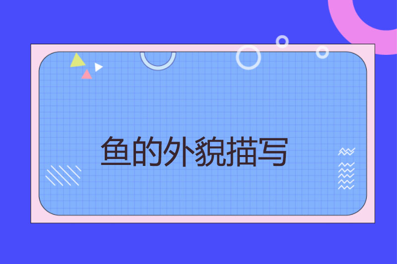 鱼的外貌描写