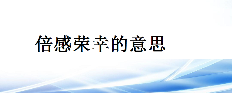 倍感荣幸的意思