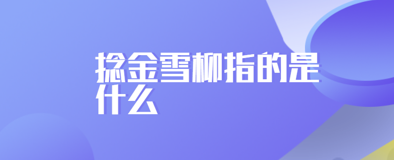 捻金雪柳指的是什么