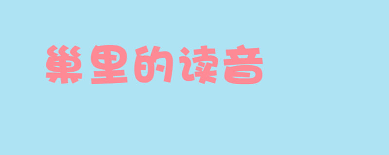 巢里的读音