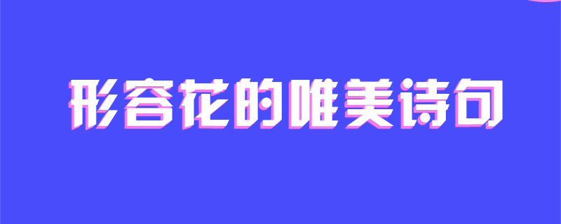 形容花的唯美诗句