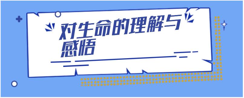 对生命的理解与感悟